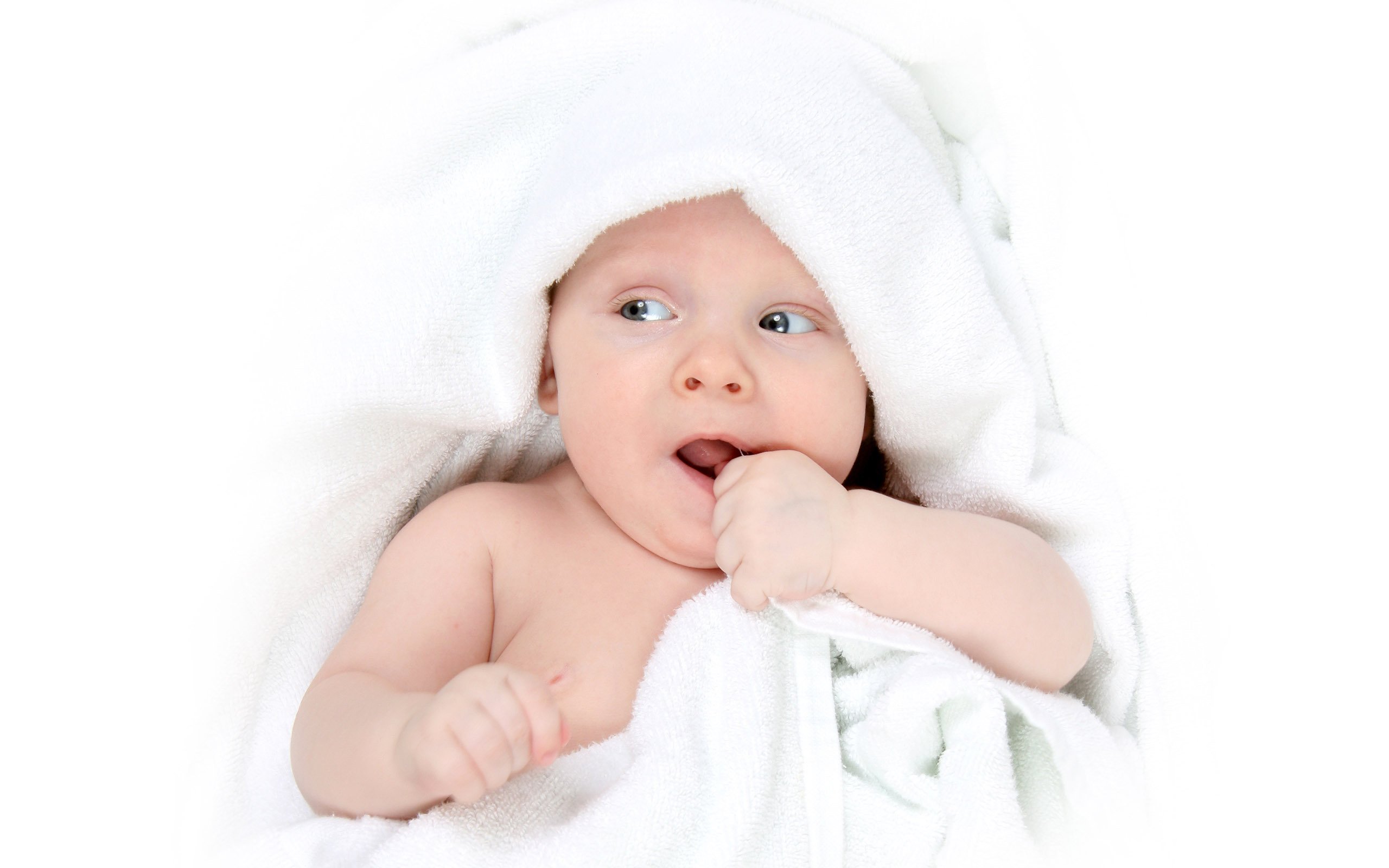 福州捐卵代怀试管婴儿首次成功率